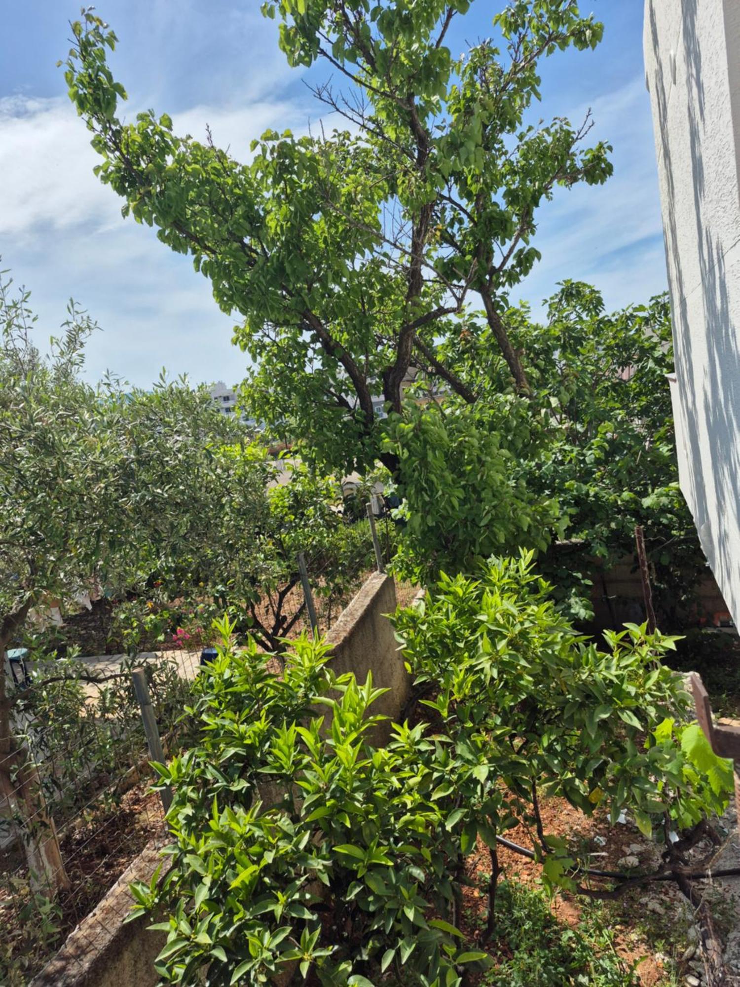Vita Apartment - Spacious Garden And Balcony 5 Min To Beach & Center Ksamil Kültér fotó
