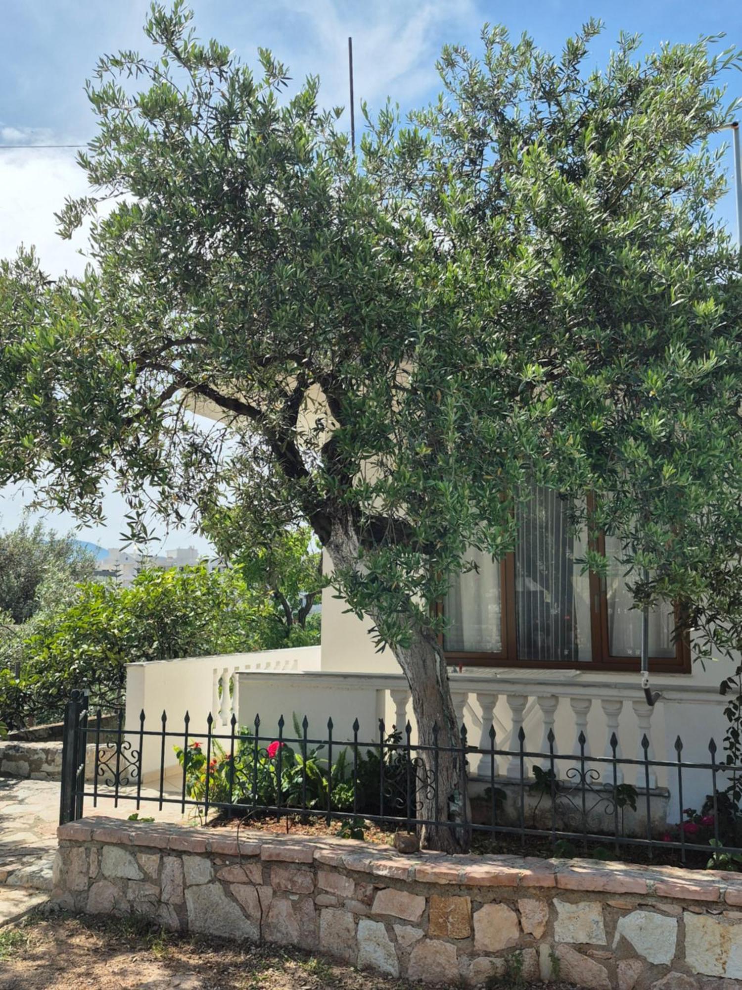 Vita Apartment - Spacious Garden And Balcony 5 Min To Beach & Center Ksamil Kültér fotó